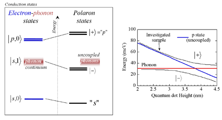 polaron