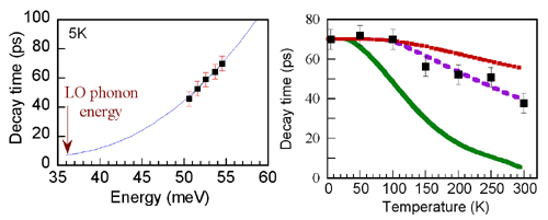 polaron relaxation