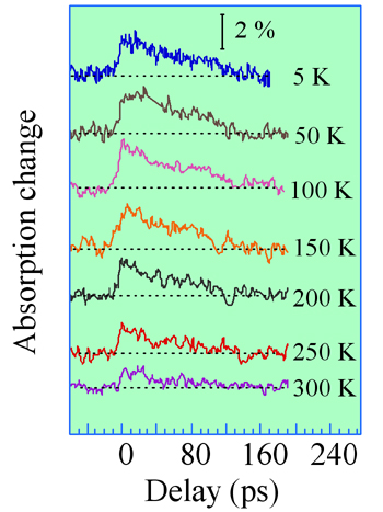 data polaron relaxation