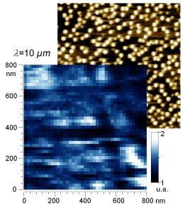 Single Quantum Dots